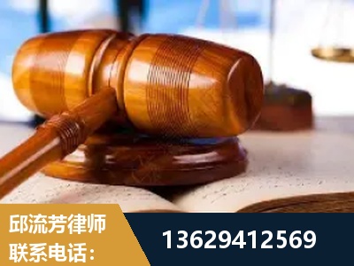 嫩江-刑事案件
