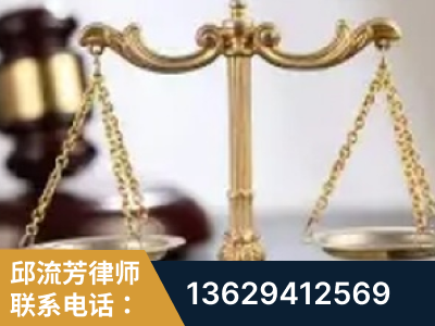 嫩江-委托诉讼代理人出庭